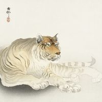 Plakat 30x30cm Tiger, Koson Japoński Vintage do Salonu