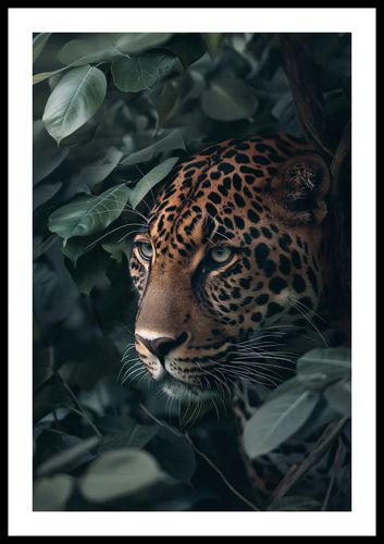 Plakat 40x60cm Schowany w Cieniu na Arena.pl
