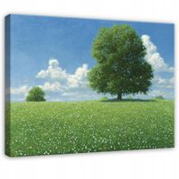Obraz Na Płótnie Do Sypialni Salonu Łąka 60x40
