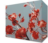 product-compare-59467476