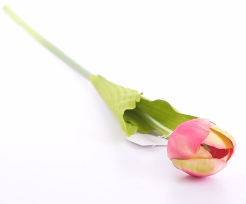 Tulipan 55cm różowy na Arena.pl