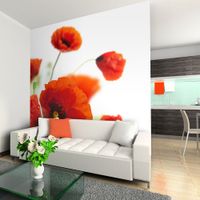 Fototapeta - Poppies on the wihite background 250x193