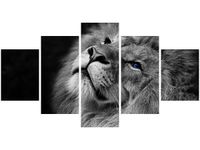 80CM 150CM OBRAZ 5 ELEM SREBRNY LEW NIEBIESKIMI OCZYMA ŚCIENNY