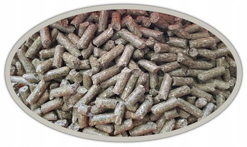 Sukces Podstawowa dla Koni 20kg na Arena.pl