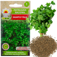 PIETRUSZKA NACIOWA GIGANTE D'ITALIA 2G NASIONA BARDZO PLENNA AROMATYCZNA