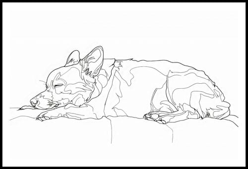 Plakat 91,5x60cm Śpiący Psiak na Arena.pl