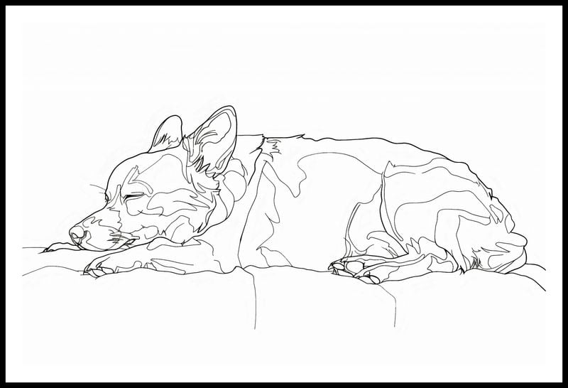 Plakat 91,5x60cm Śpiący Psiak zdjęcie 3