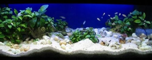 30 KG BIALY GRYS WAPIENNY DO AKWARIUM MALAWI 1-3mm na Arena.pl