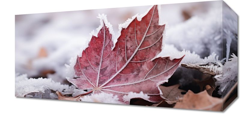 Obraz 40x20cm Liść u Kresu Jesieni zdjęcie 1