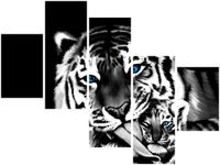 product-compare-58708427