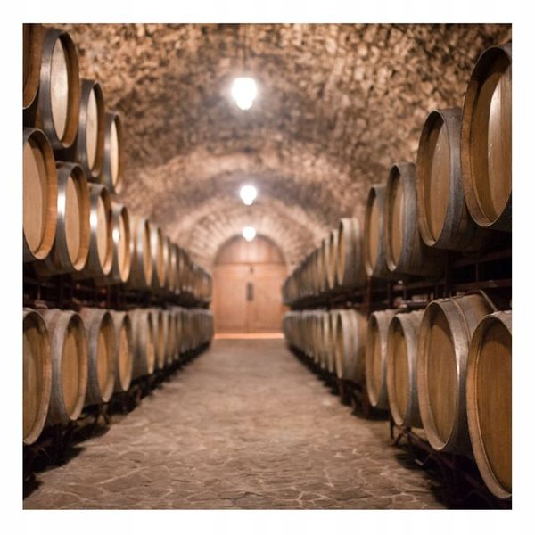 ŚWIEŻE DROŻDŻE PIEKARSKIE 2,5 KG IDEALNE DO PIECZENIA CHLEBA PIZZY zdjęcie 2