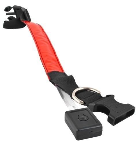 Obroża LED czerwona - S na Arena.pl