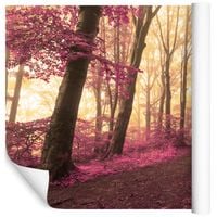 Fototapeta Las we Mgle JESIEŃ Drzewa do Salonu 405x270