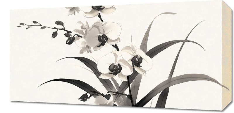 Obraz 60x30cm Orchidea zdjęcie 1