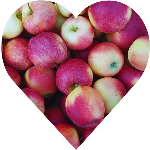 JABŁOŃ LOBO Jabłoń jak legenda – każdy o niej słyszał, ale nieliczni na Arena.pl