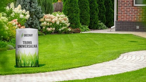 Trawa UNIWERSALNA nasiona trawy SAMOZAGĘSZCZAJĄCA odporna na DEPTANIE 25kg na Arena.pl