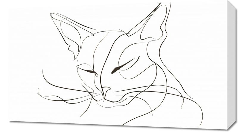 Obraz 70x40cm Linijny Kot zdjęcie 1