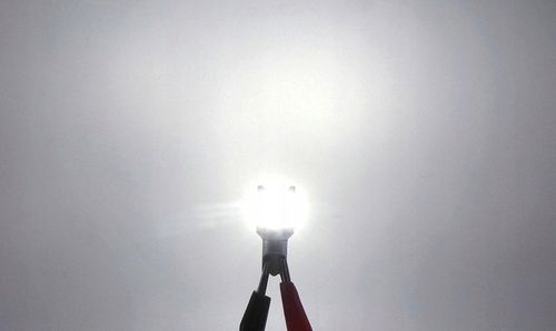 W16W LED żarówka 12-24V 100% Canbus biała bez błędu, mocne światło na Arena.pl