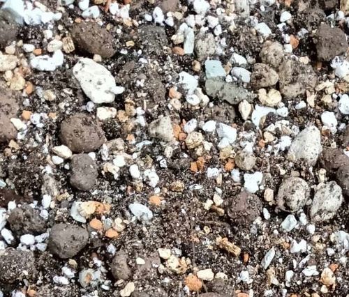 Botanic Soil Succulent 10l Podłoże do sukulentów,bigos ziemia na Arena.pl