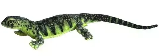 Waran zielony 80cm zdjęcie 1