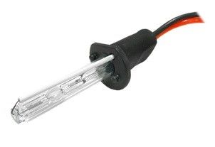 Żarówka XENON H1 6000K na Arena.pl