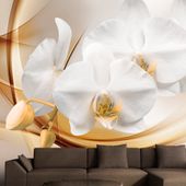 Fototapeta - Kwiat orchidei 350x245