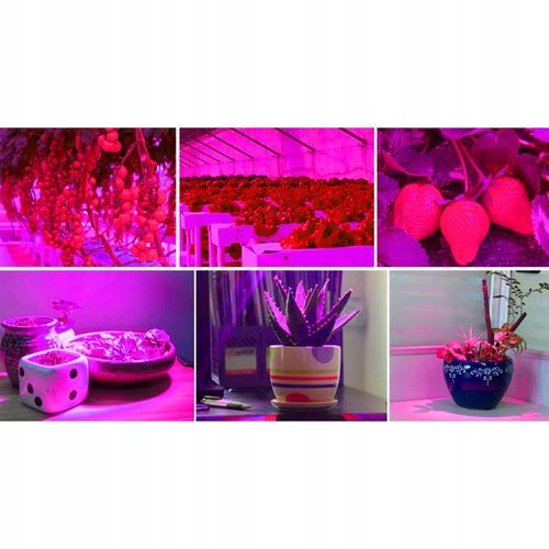 Lampa do Wzrostu Roślin Panel do Uprawy 225 LED + Liny Mocna 36W Wisząca na Arena.pl