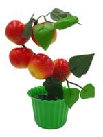 drzewko w doniczce owocowe