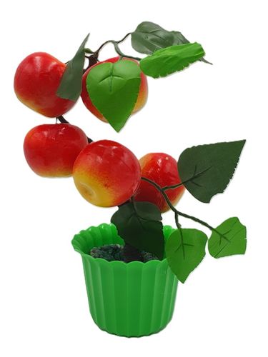 drzewko w doniczce owocowe na Arena.pl