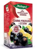 HERBAPOL HERBATA CZARNA PORZECZKA Z CYTRYNĄ 20TB