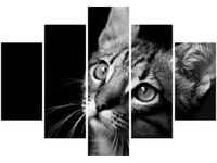 105CM 150CM OBRAZ 5 ELEM SPOJRZENIE VISUALPANIC DRUK