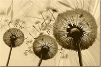 120CM 80CM OBRAZ ŚCIENNY DMUCHAWCE KREMOWYM TLE