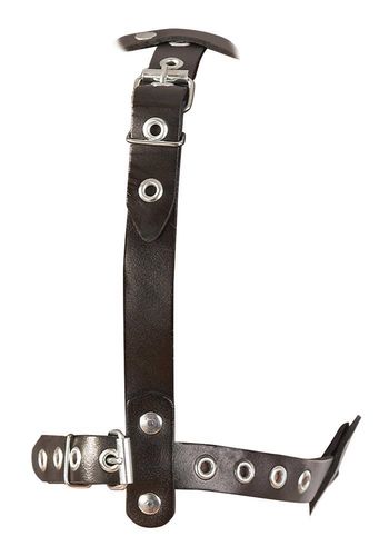 LeatherHead harness with Dildo na Arena.pl