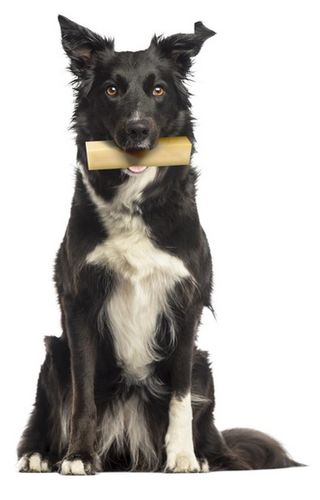 Pyszny i zdrowy przysmak dla psa - Zolux kość z sera himalajskiego M 57g na Arena.pl