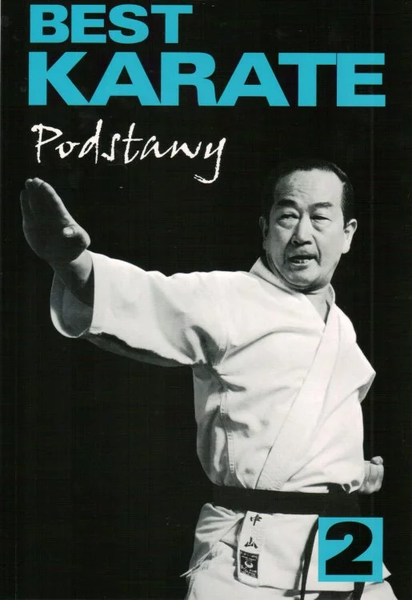 Best Karate 2 zdjęcie 1