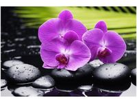 product-compare-58693821