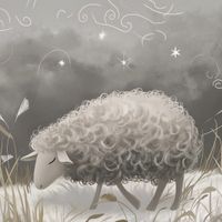 Plakat 60x60cm Bujna Owca