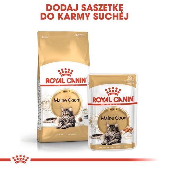 Zdrowa karma sucha dla kotów dorosłych rasy maine coon - Royal Canin 400g zdjęcie 5