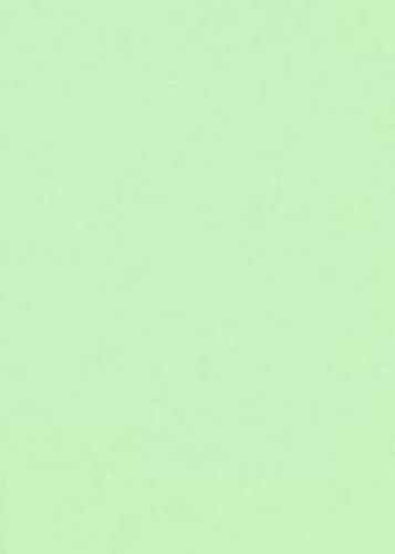 Pistacja - Dresówka Pętelka 240g/m2 na Arena.pl