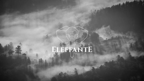 PŁYN USZCZELNIAJĄCY STAN'S NOTUBES 500 ml na Arena.pl