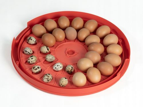 INKUBATOR klujnik wylęgarka do 30 JAJ drób kaczki na Arena.pl