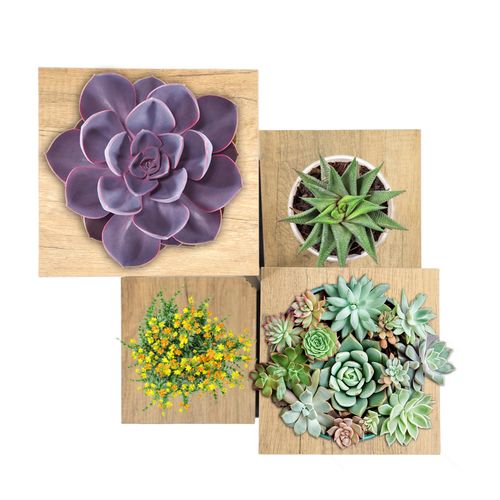 Kwietnik wolnostojący na kwiatki rośliny 4 poziomy metalowy rustykalny 76cm na Arena.pl