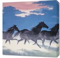 Obraz 60x60cm Wolność i Swoboda