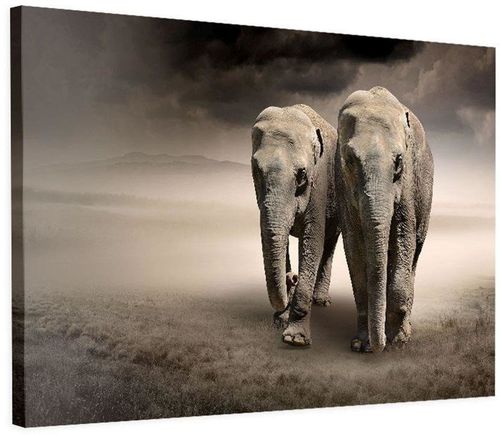 Obraz na płótnie - Canvas, Wędrujące słonie 40x60 na Arena.pl