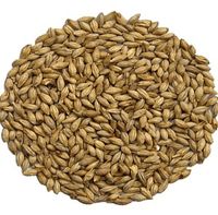 Słód melanoidynowy  60-80 EBC Weyermann 0,5 kg