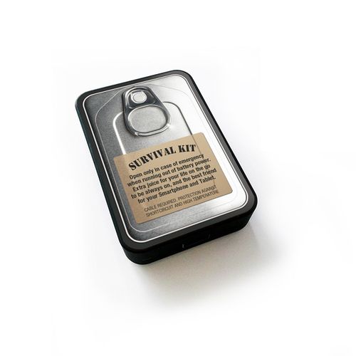 SMARTOOOLS Powerbank MC10 Sardynki, 10000mAh na Arena.pl