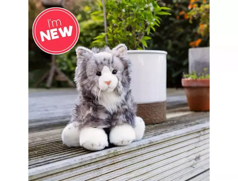 Puszysty Kot zdjęcie 1