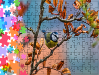 Puzzle tradycyjne Zwierzęta - Ptak