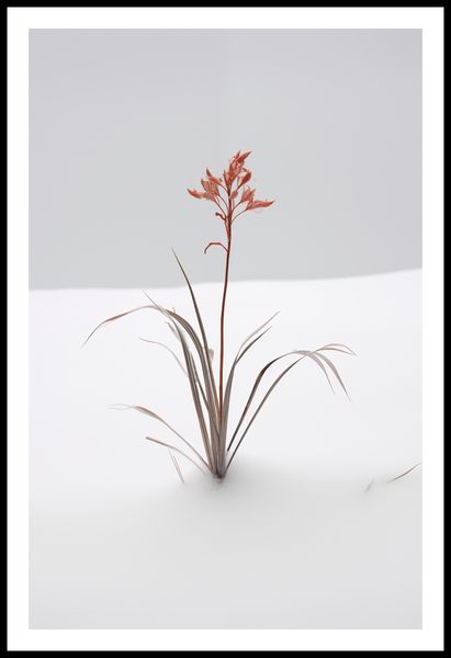Plakat 56,6x86,4cm Subtelność Natury zdjęcie 3
