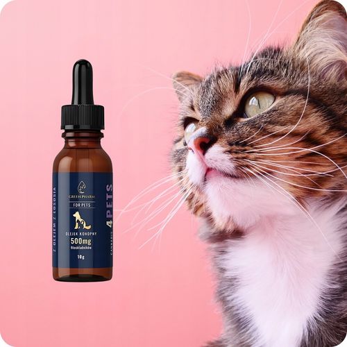 Olejek CBD 5% | Dla Psa | Dla Kota 500mg 11ml | Weterynaryjny | BEZ THC na Arena.pl